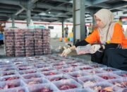 PLN UID S2JB Sembelih 17 Hewan Kurban