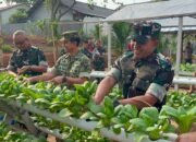 Danrem 044/Gapo Panen Hasil Urban Farming Gapo Farm, Wujud Nyata Ketahanan Pangan Berkelanjutan